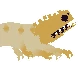 a caramel lizard