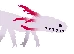 a salamander