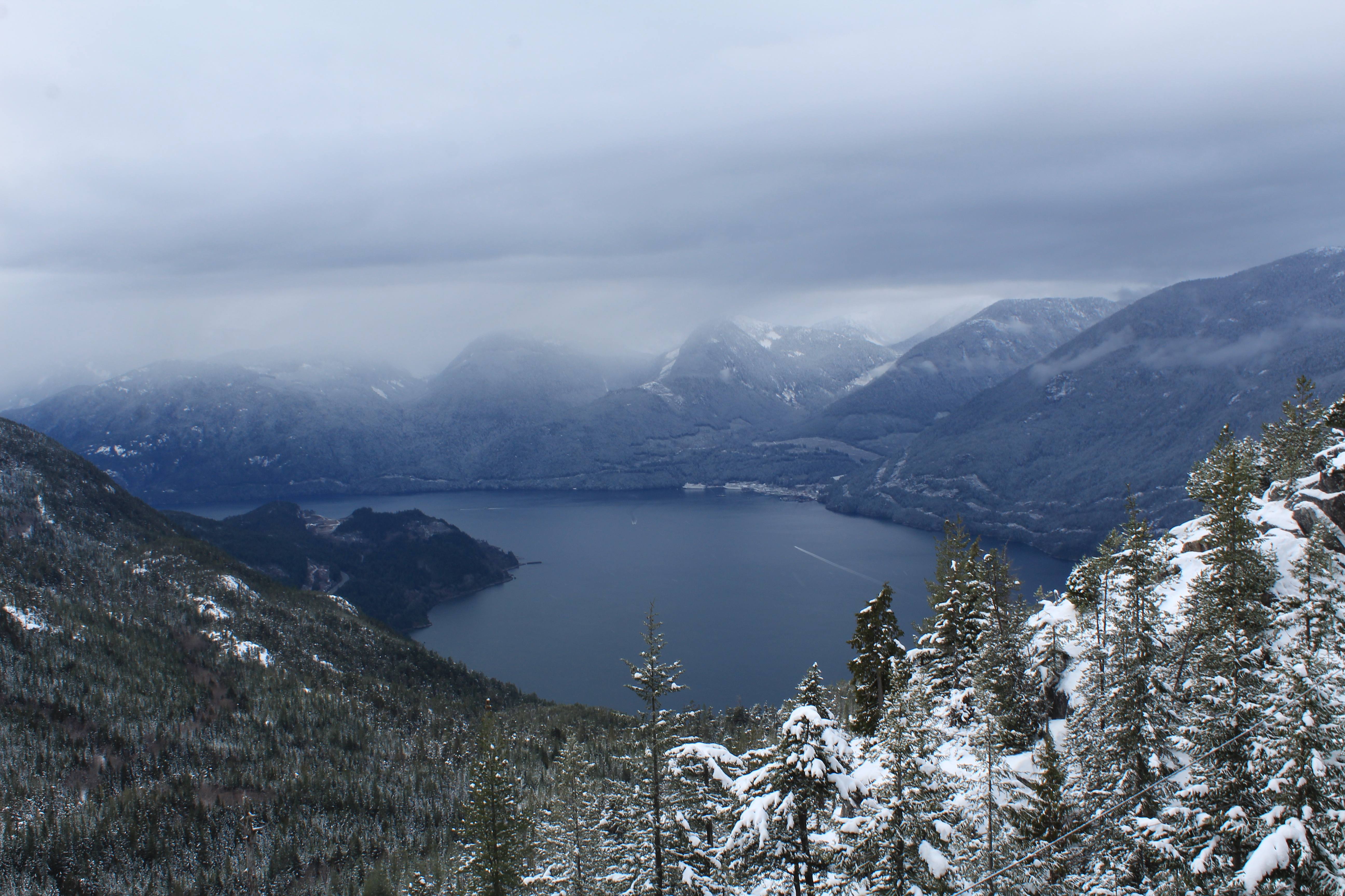 Landscape view